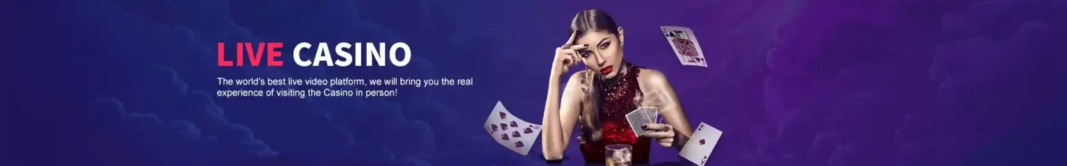 phplus live casino lobby interface with professional dealers and real-time streaming games for online players